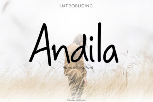 Andila: A Playful Display Font That Lifts Your Digital Brand