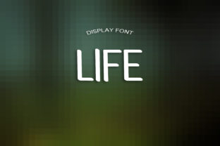 Life: A Clean Display Font for Editorial Clarity