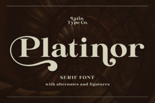 Platinor: A Premium Display Font for Scroll-Stopping Marketing