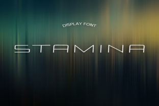 Stamina: A Display Font That Elevates Handmade Charm